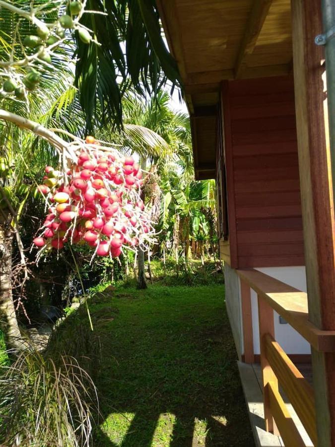 Un Cosy Sous Le Vent Villa Gourbeyre Kültér fotó