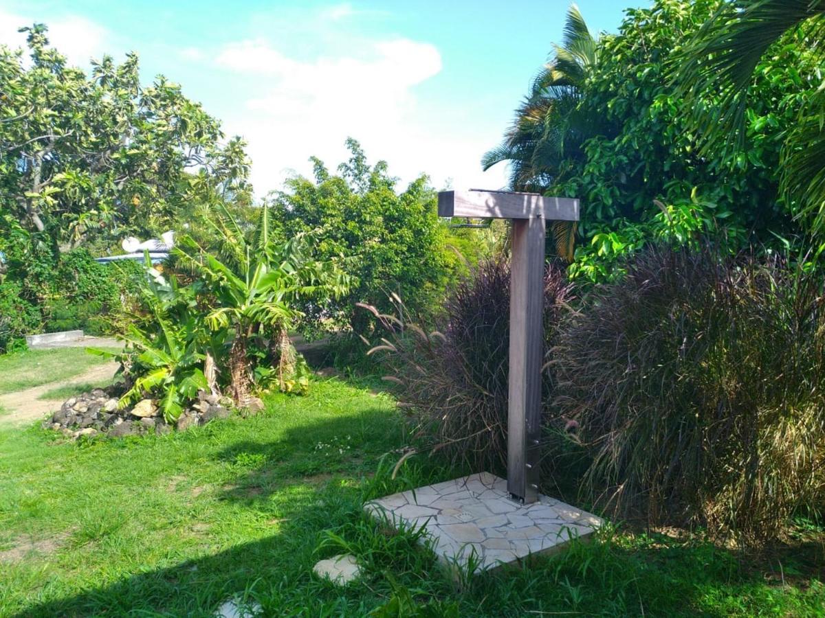 Un Cosy Sous Le Vent Villa Gourbeyre Kültér fotó